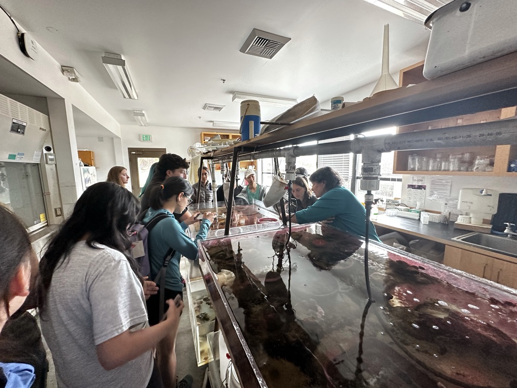 This image has an empty alt attribute; its file name is C78D9FF4-B090-47C2-9C1B-869259B833E0_1_105_c.jpeg