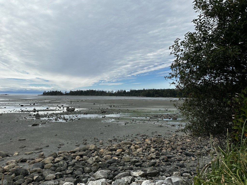 This image has an empty alt attribute; its file name is FC5336C8-4F25-49C9-B64F-19DC7DD6AB6D_1_105_c-1.jpeg